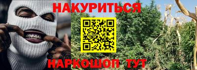 прущие крисы Лесосибирск