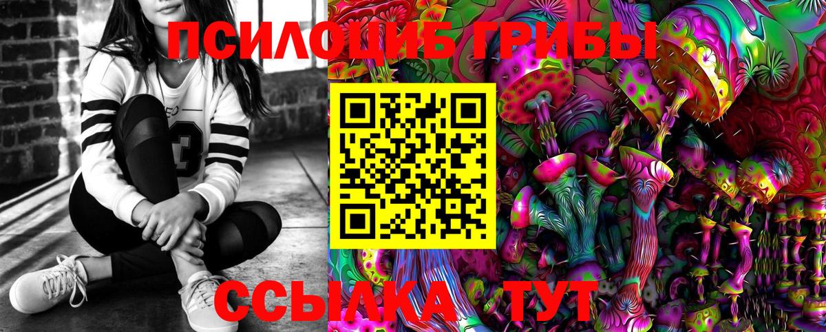 Псилоцибиновые грибы Psilocybine cubensis Верхняя Пышма