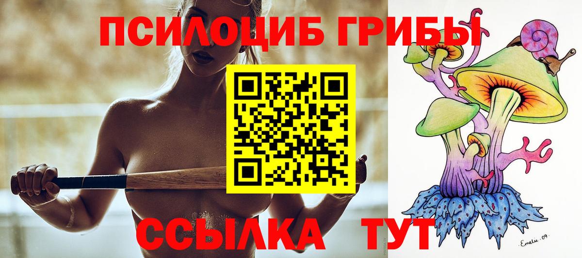 Псилоцибиновые грибы MAGIC MUSHROOMS  Вход с VPN  Верхняя Пышма 