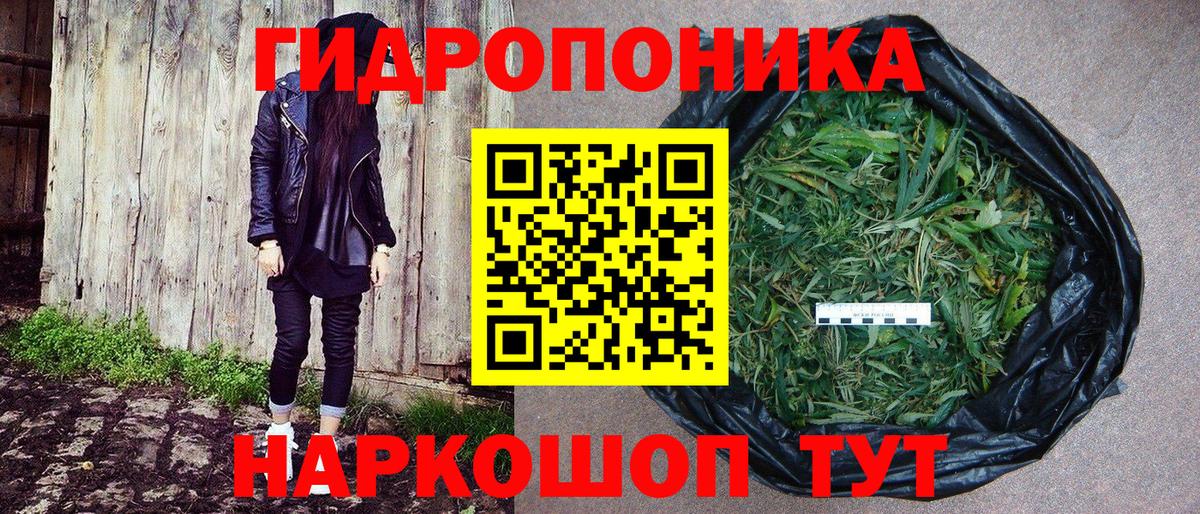 Шишки марихуана SATIVA & INDICA  Бошки Шишки OG Kush  Верхняя Пышма  Каннабис план  Вход с VPN  Каннабис Ganja 